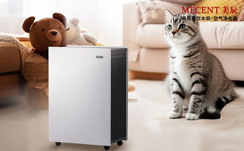 寵物家庭除味攻略：活性炭濾網(wǎng)真的能搞定寵物異味嗎？